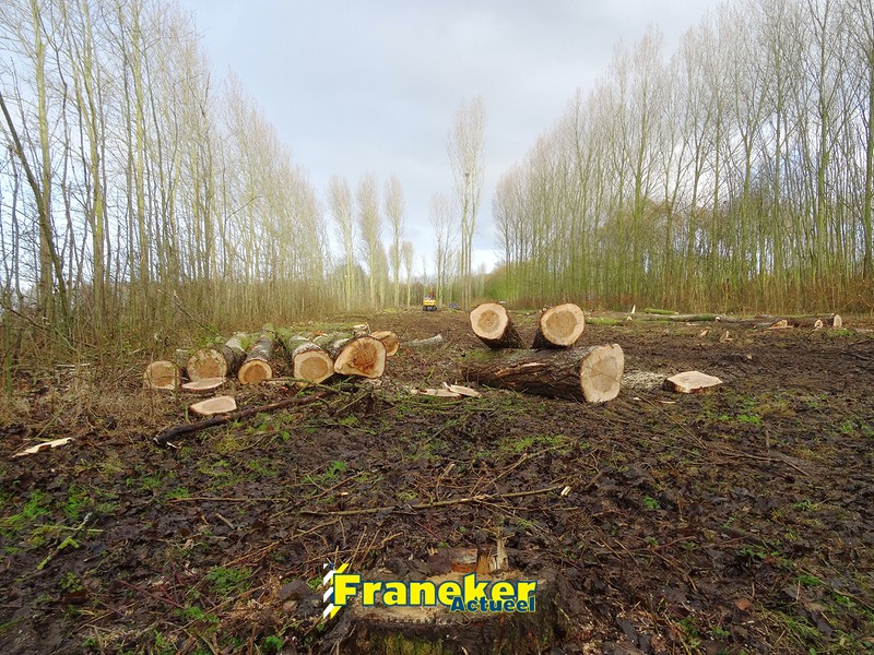 1 © Rinus Bouma - FranekerActueel.nl