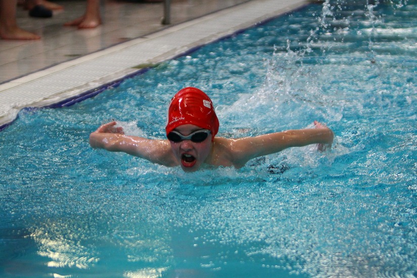 foto vlinderslag Djurre