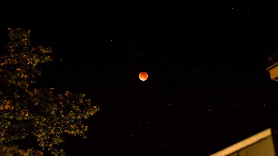 12033835_10208095414809680_227718047_n