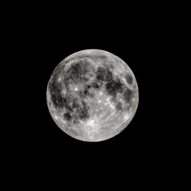 12076294_10208095414929683_2033789477_o