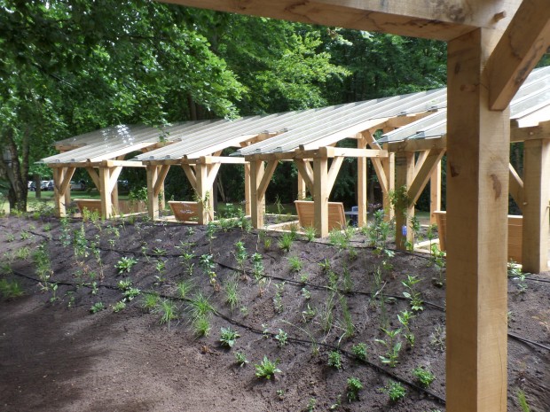 Chemotuin_D&O_Bouwglas_693