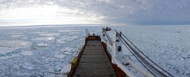 Happy Delta in het ijs