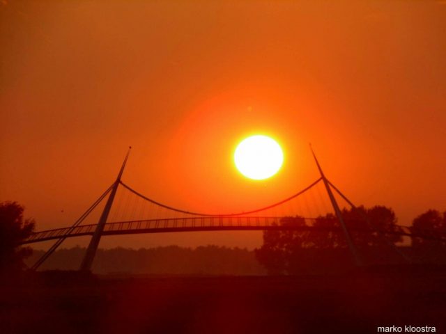 received_968588396619858_resized