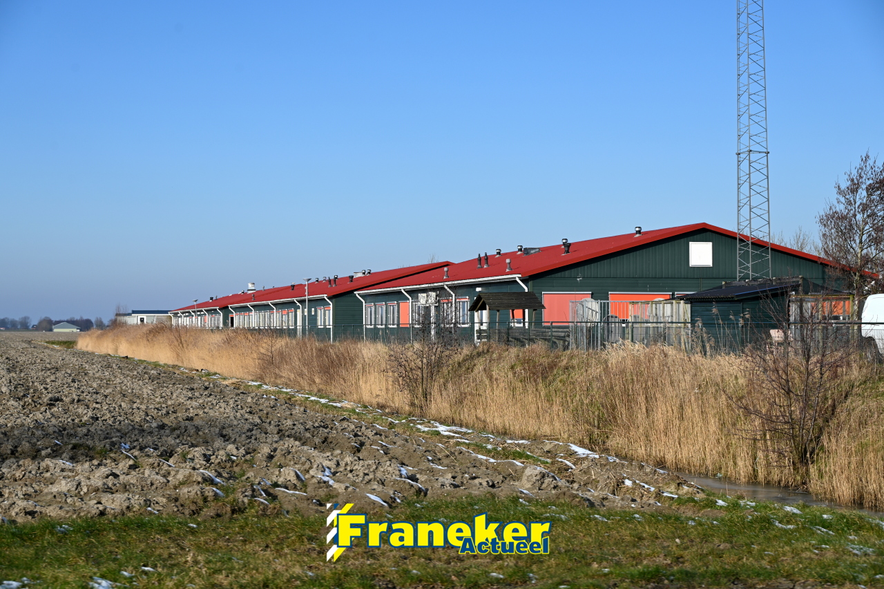 franekeractueel.nl