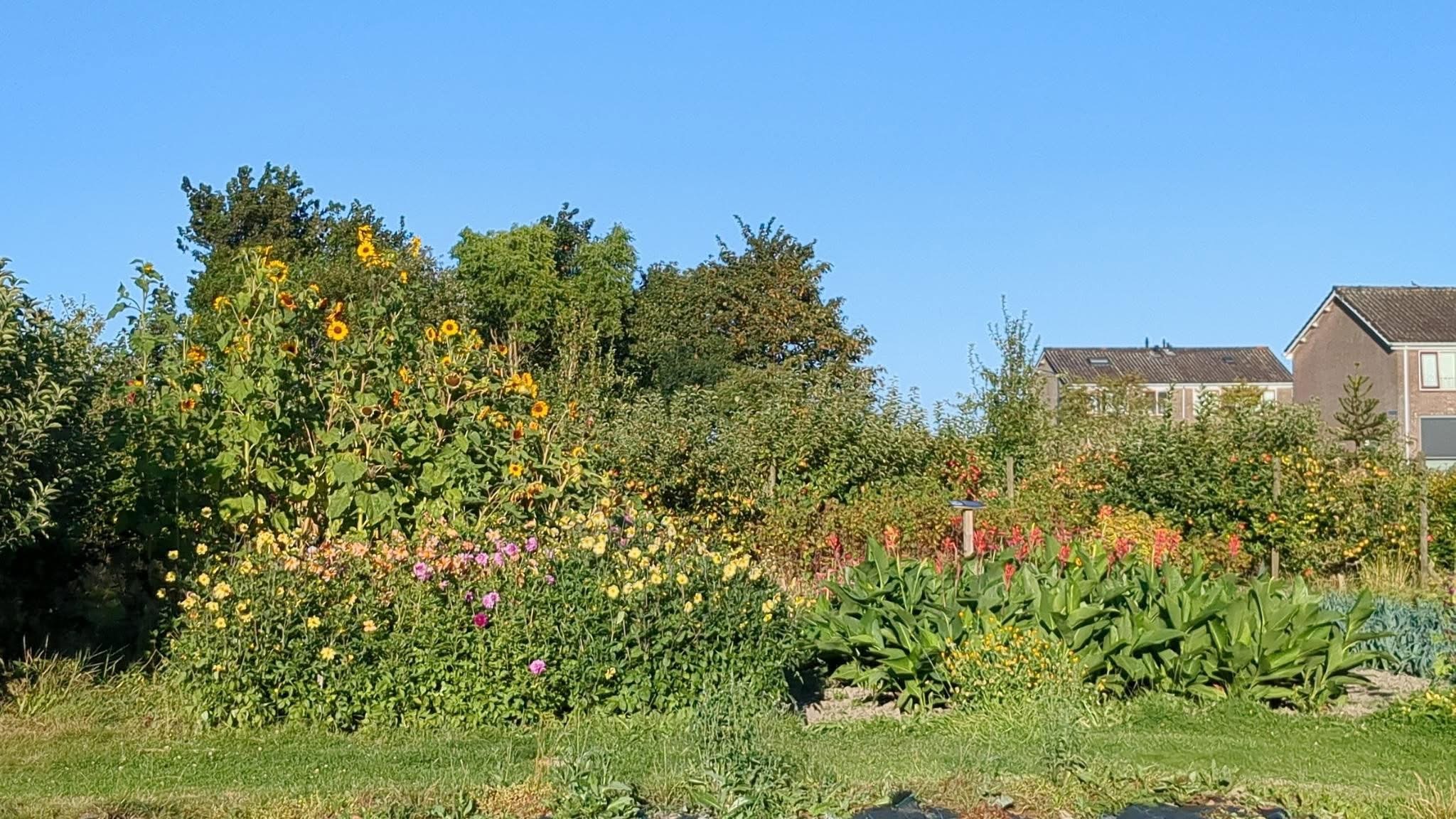 Muziek in de Kloostertuin Oosterbierum