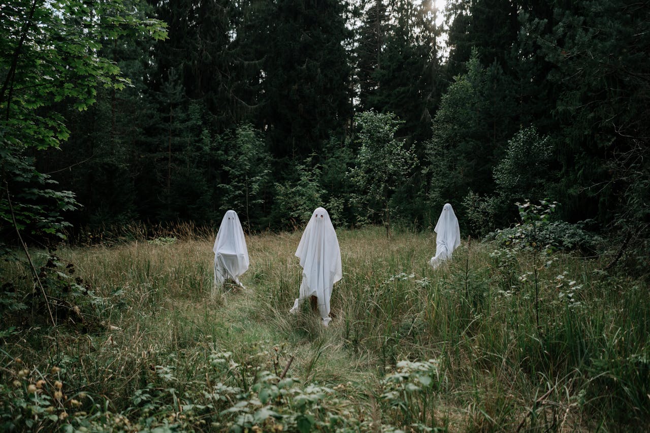 Spooktocht in het Franeker Bos op 11 oktober