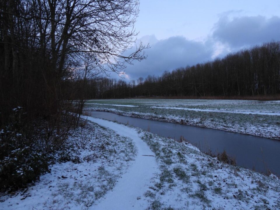 Chantal Dorenbos (2)