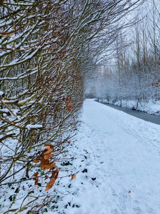 FranekerBas - R van Duijneveldt (2)