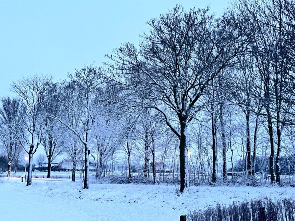 Hans en Maartje Hitzum (2)