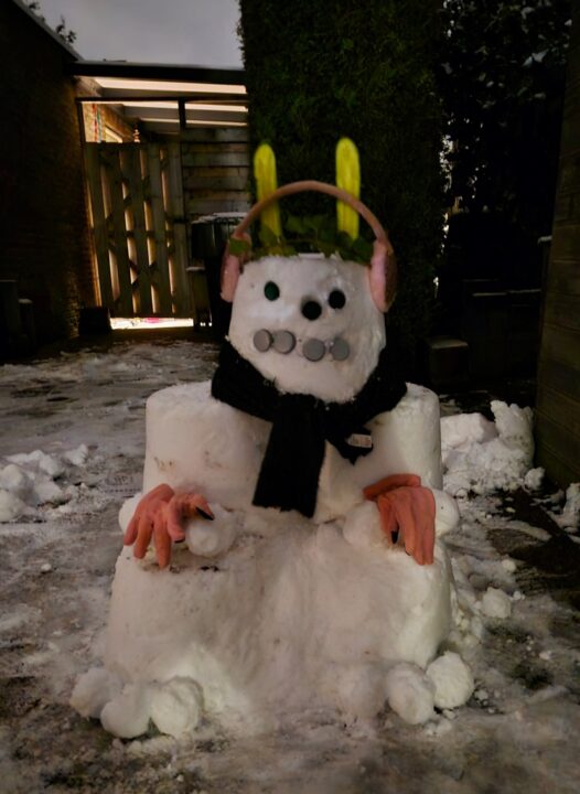 Roos - sneeuwman henk