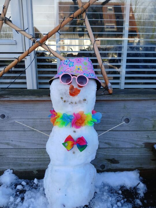 Sneeuwpop van Mare de Jong
