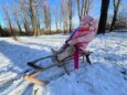 Voor het eerst in de sneeuw op de slee onze kleindochter Florine - Cristien de Haan