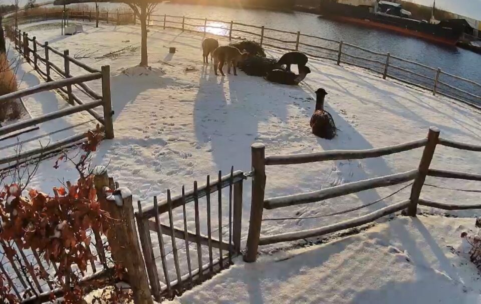 Simone Roosma Franeker- Zevenhuizen / Van Harinxmakanaal