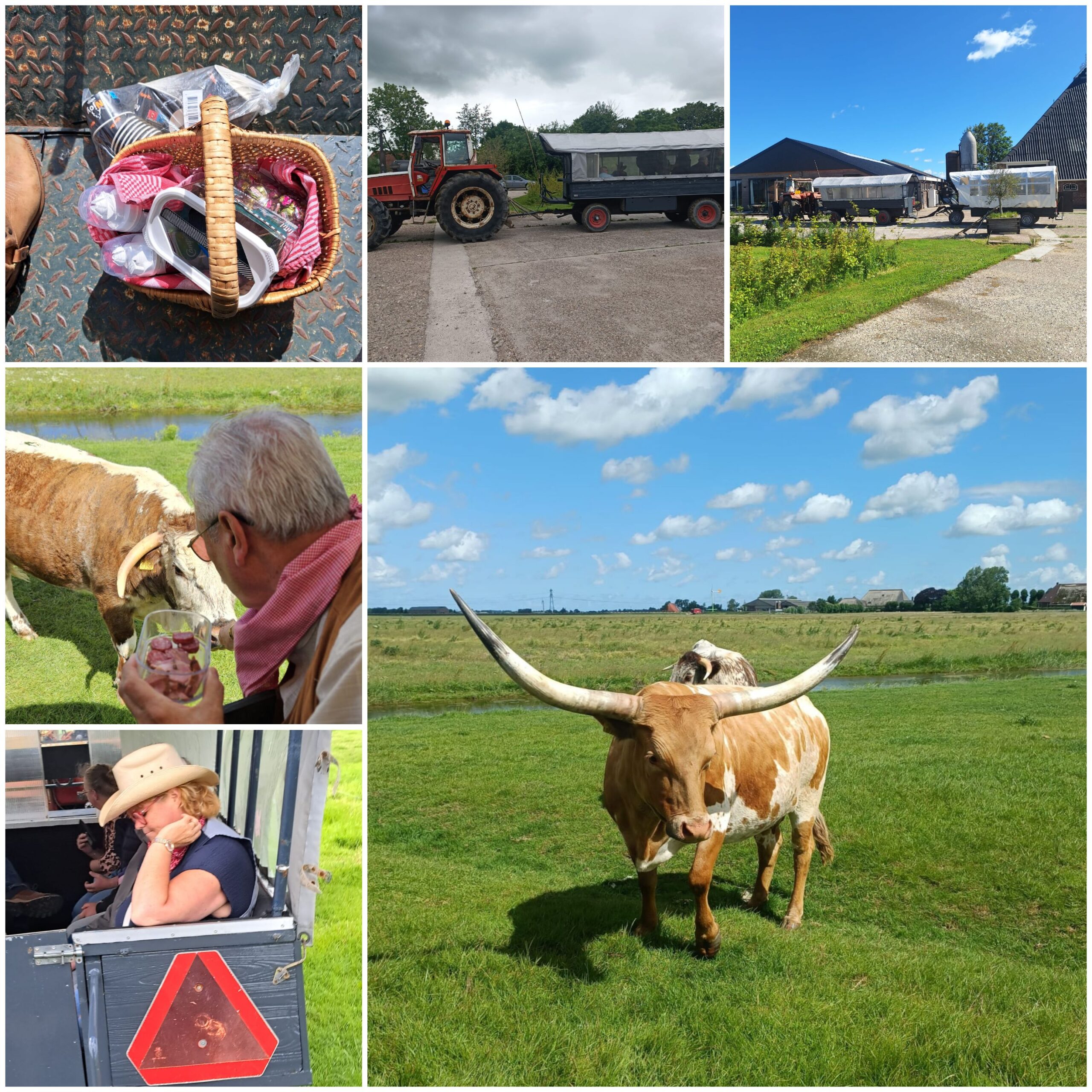 Stralende gezichten en indrukwekkende Longhorns: geslaagde huifkartocht voor De Westerpoort