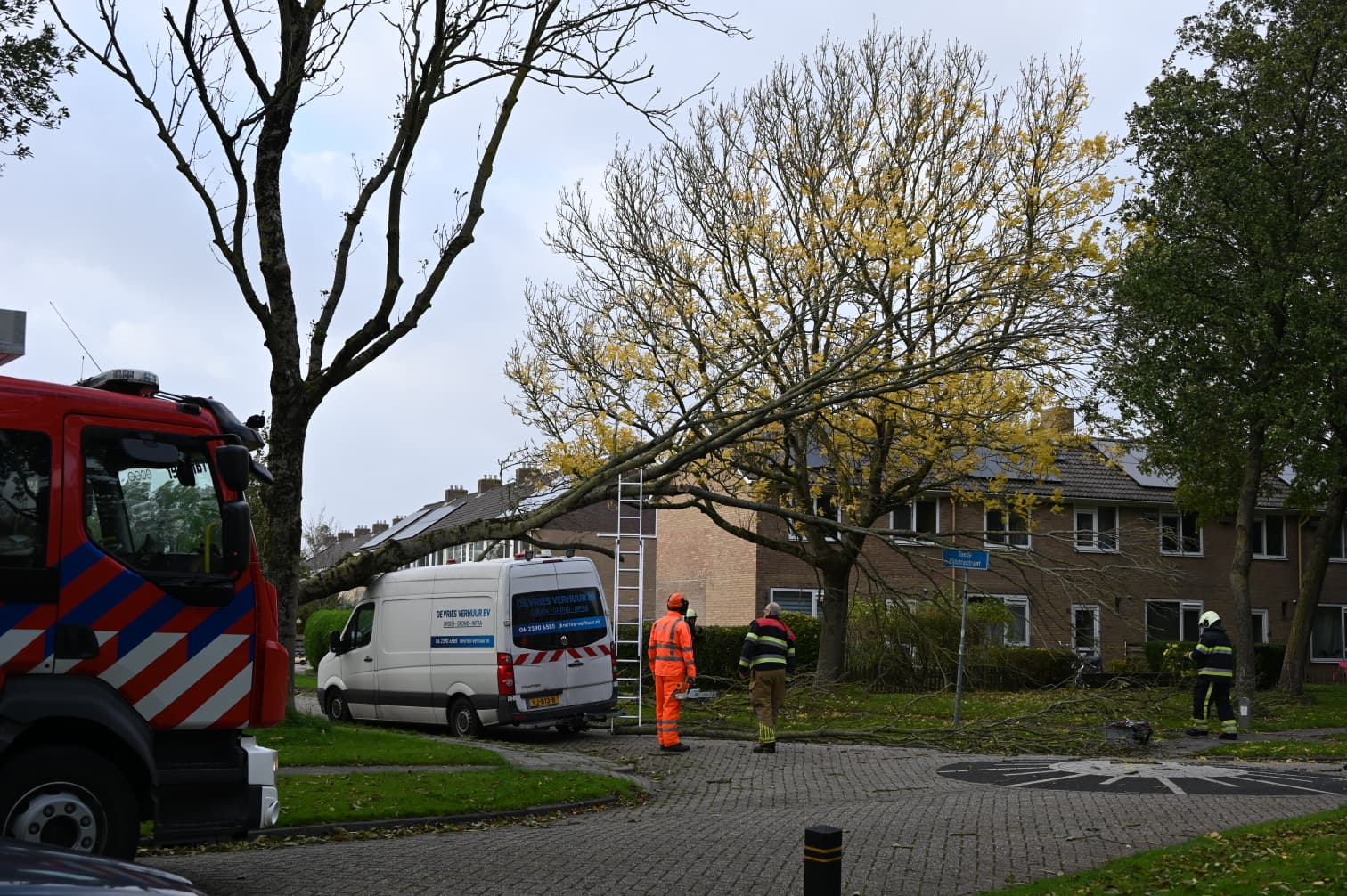Stormschade: Boom valt op busje in Franeker